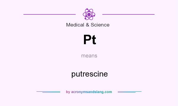 What does Pt mean? It stands for putrescine