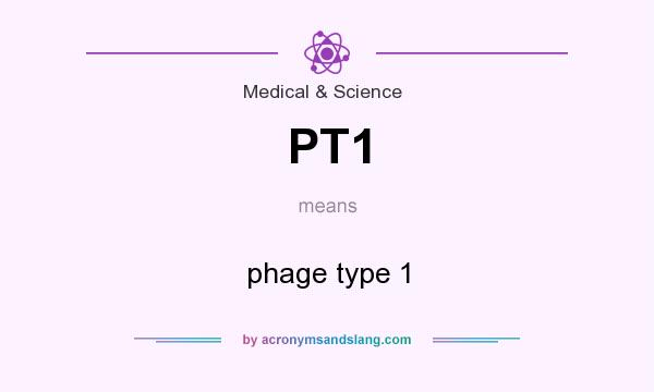 What does PT1 mean? It stands for phage type 1