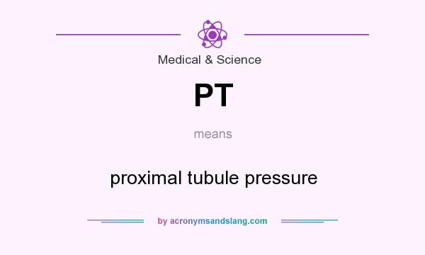 What does PT mean? It stands for proximal tubule pressure