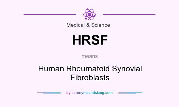 What does HRSF mean? It stands for Human Rheumatoid Synovial Fibroblasts