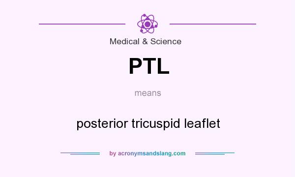What does PTL mean? It stands for posterior tricuspid leaflet