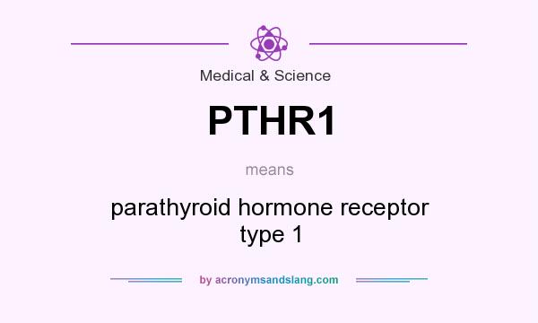 What does PTHR1 mean? It stands for parathyroid hormone receptor type 1