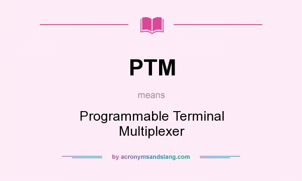 What does PTM mean? It stands for Programmable Terminal Multiplexer