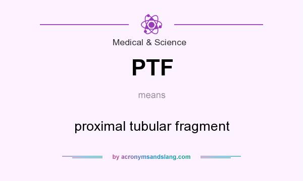 What does PTF mean? It stands for proximal tubular fragment
