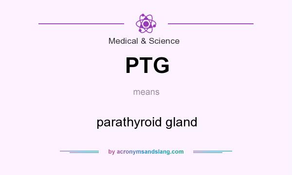 What does PTG mean? It stands for parathyroid gland