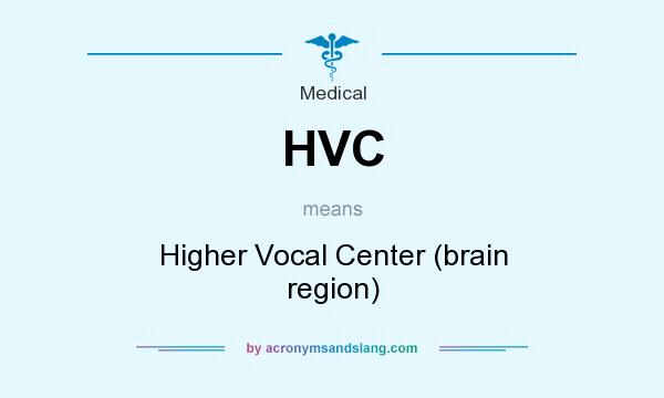 What does HVC mean? It stands for Higher Vocal Center (brain region)