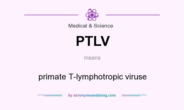 What does PTLV mean? It stands for primate T-lymphotropic viruse