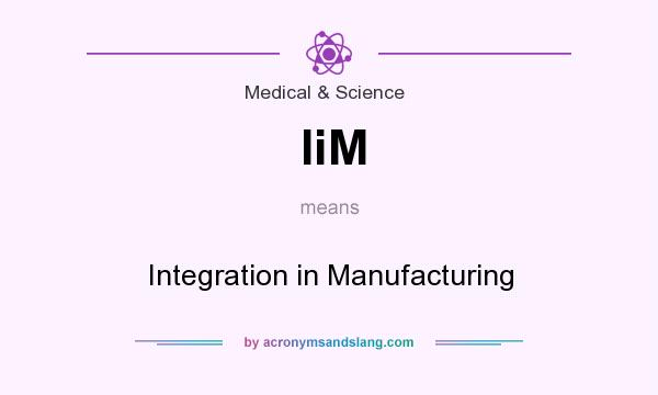 What does IiM mean? It stands for Integration in Manufacturing