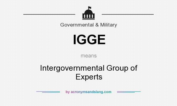 What does IGGE mean? It stands for Intergovernmental Group of Experts