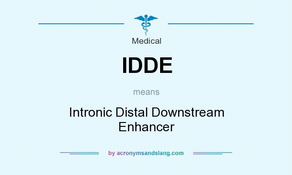 What does IDDE mean? It stands for Intronic Distal Downstream Enhancer