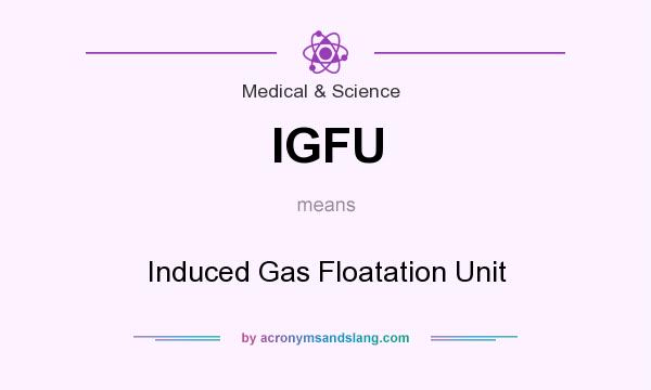 What does IGFU mean? It stands for Induced Gas Floatation Unit