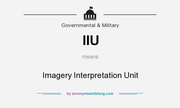 What does IIU mean? It stands for Imagery Interpretation Unit