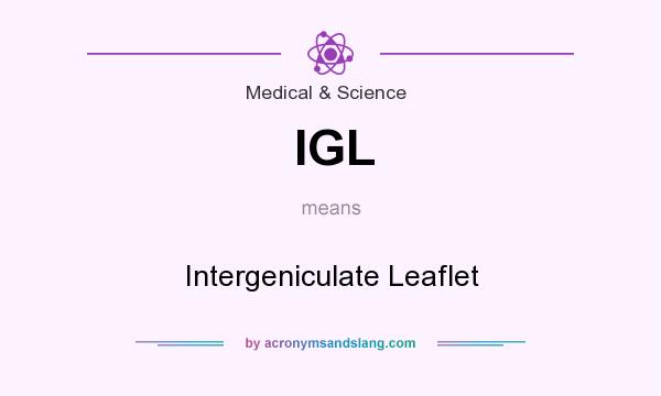 What does IGL mean? It stands for Intergeniculate Leaflet