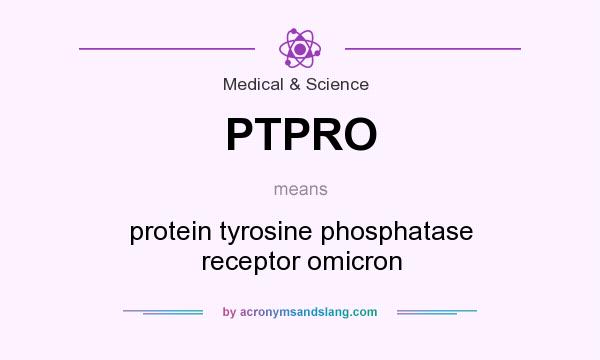 What does PTPRO mean? It stands for protein tyrosine phosphatase receptor omicron
