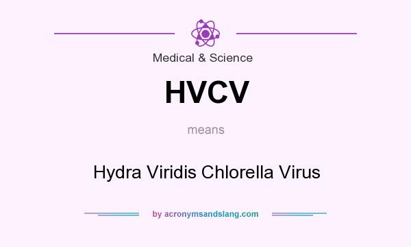 What does HVCV mean? It stands for Hydra Viridis Chlorella Virus