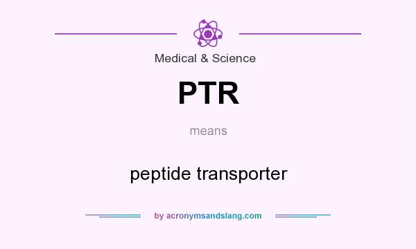 What does PTR mean? It stands for peptide transporter