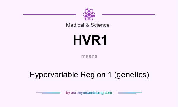 What does HVR1 mean? It stands for Hypervariable Region 1 (genetics)
