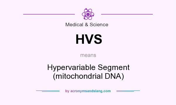 What does HVS mean? It stands for Hypervariable Segment (mitochondrial DNA)