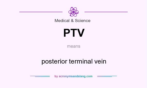 What does PTV mean? It stands for posterior terminal vein