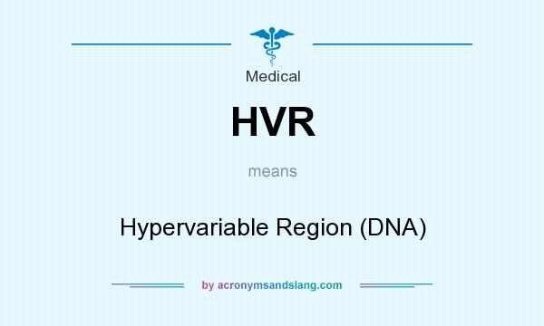 What does HVR mean? It stands for Hypervariable Region (DNA)