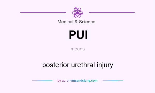 What does PUI mean? It stands for posterior urethral injury