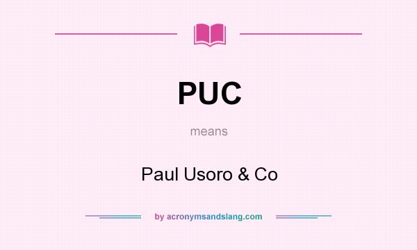 What does PUC mean? It stands for Paul Usoro & Co