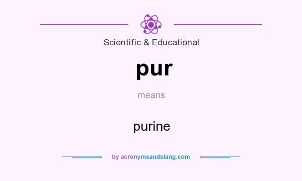 What does pur mean? It stands for purine
