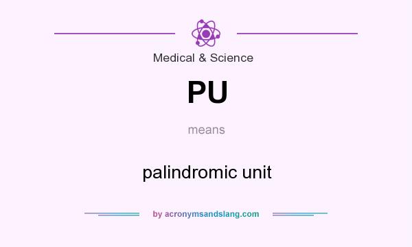 What does PU mean? It stands for palindromic unit