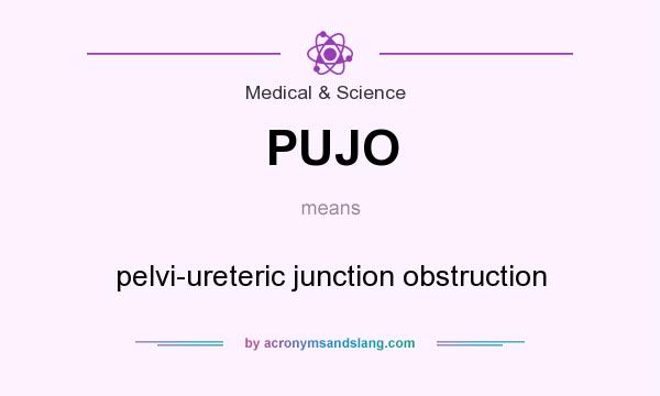 What does PUJO mean? It stands for pelvi-ureteric junction obstruction