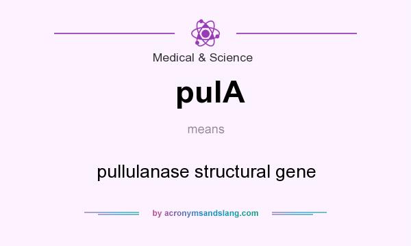 What does pulA mean? It stands for pullulanase structural gene