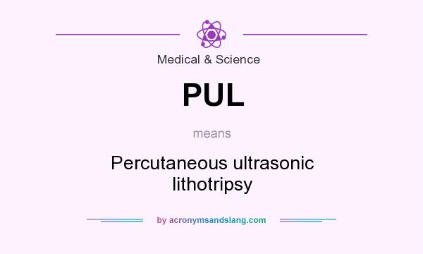 What does PUL mean? It stands for Percutaneous ultrasonic lithotripsy