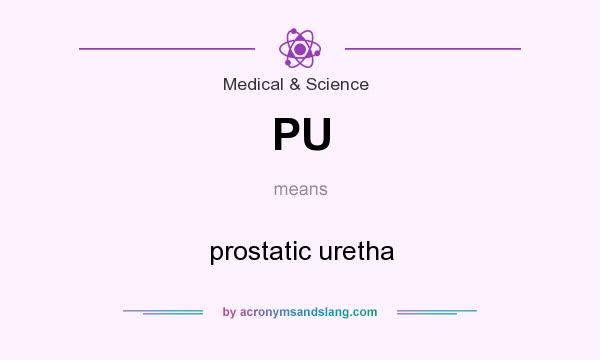 What does PU mean? It stands for prostatic uretha
