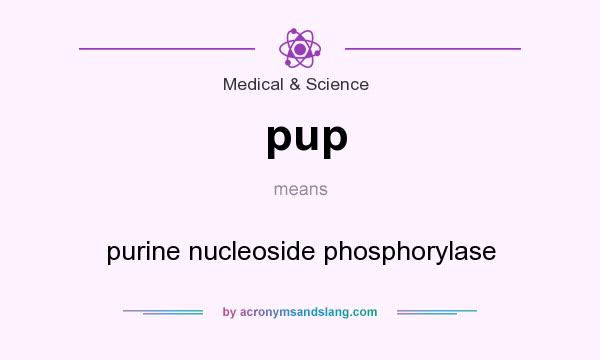 What does pup mean? It stands for purine nucleoside phosphorylase