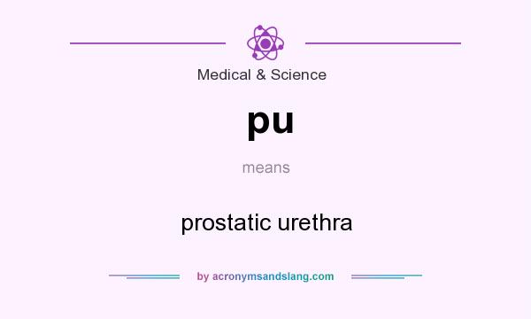 What does pu mean? It stands for prostatic urethra