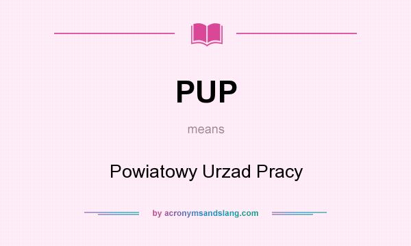What does PUP mean? It stands for Powiatowy Urzad Pracy