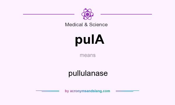 What does pulA mean? It stands for pullulanase