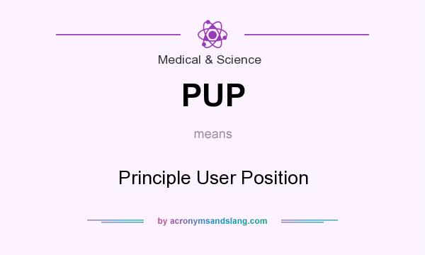 What does PUP mean? It stands for Principle User Position