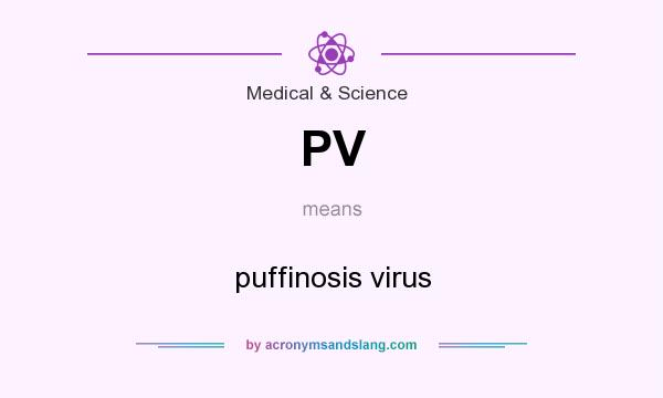 What does PV mean? It stands for puffinosis virus