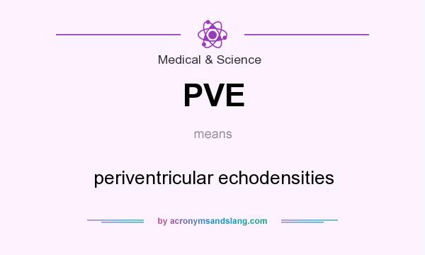 What does PVE mean? It stands for periventricular echodensities