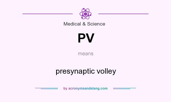 What does PV mean? It stands for presynaptic volley