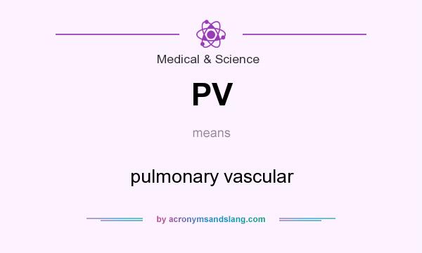 What does PV mean? It stands for pulmonary vascular