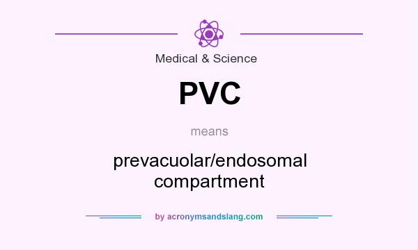 What does PVC mean? It stands for prevacuolar/endosomal compartment