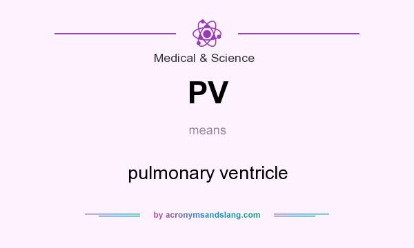 What does PV mean? It stands for pulmonary ventricle