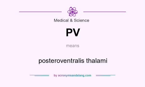 What does PV mean? It stands for posteroventralis thalami