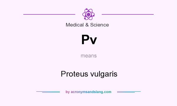 What does Pv mean? It stands for Proteus vulgaris