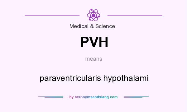 What does PVH mean? It stands for paraventricularis hypothalami