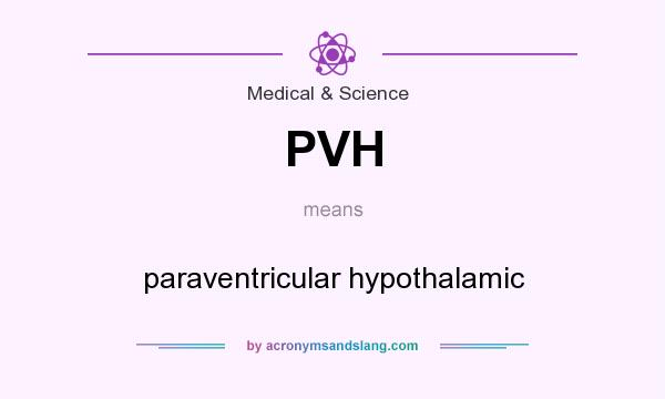 What does PVH mean? It stands for paraventricular hypothalamic