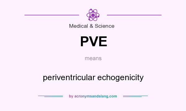 What does PVE mean? It stands for periventricular echogenicity
