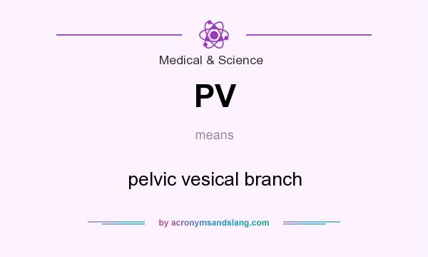 What does PV mean? It stands for pelvic vesical branch