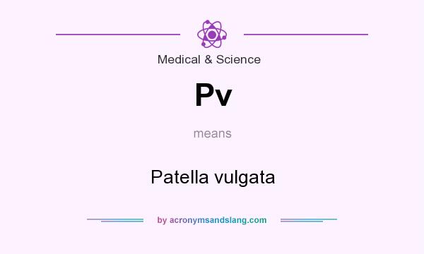 What does Pv mean? It stands for Patella vulgata